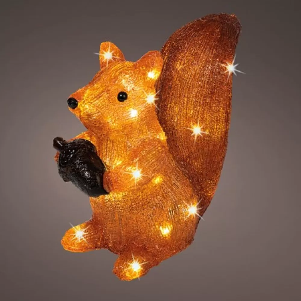 Hot Écureuil Acrylique à Piles Personnages Illuminés De Noël